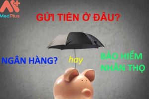 bảo hiểm hay ngân hàng