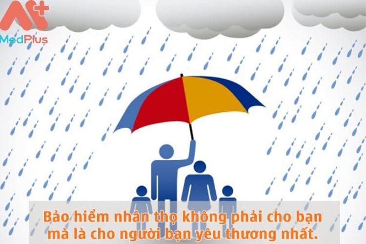 Bảo hiểm Nhân thọ mang lại Quyền lợi như thế nào Chủ hợp đồng?