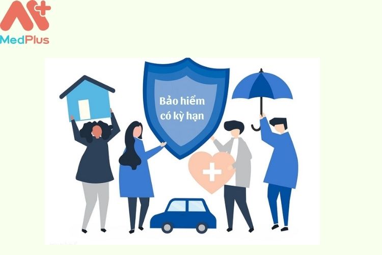 khái niệm của bảo hiểm có kỳ hạn