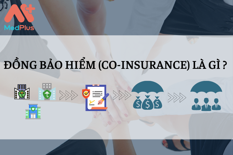 Dong-bao-hiem-Co-insurance-la-gi.png