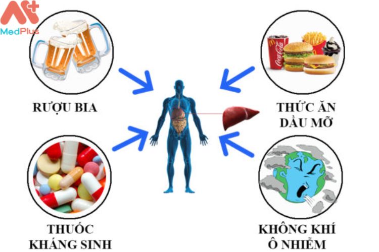 Rối loạn chức năng gan