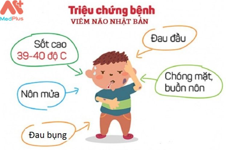 Triệu chứng viêm não Nhật Bản