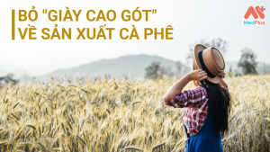 Bỏ giày cao gót về sản xuất cà phê-3