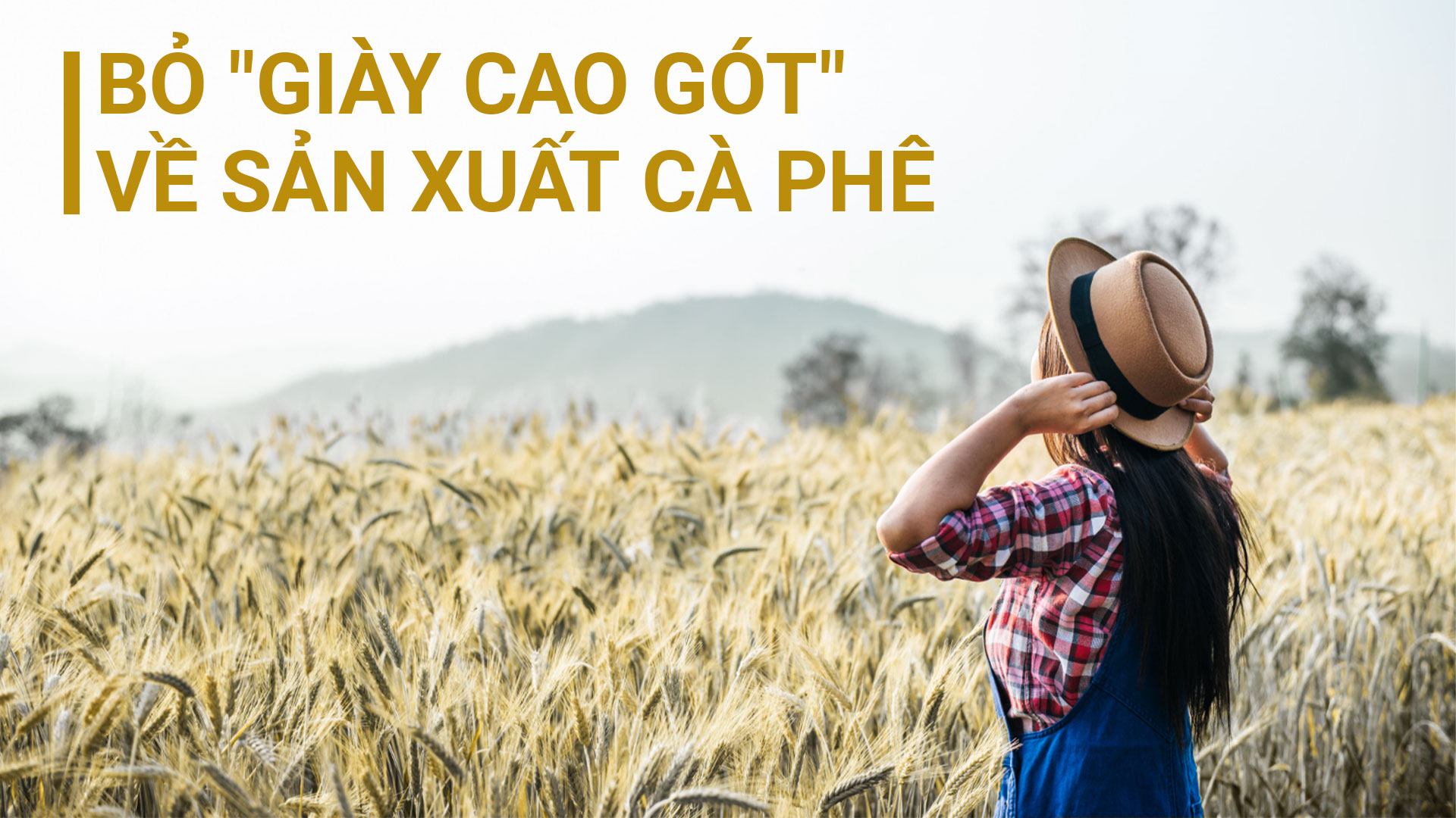 Bỏ giày cao gót về sản xuất cà phê