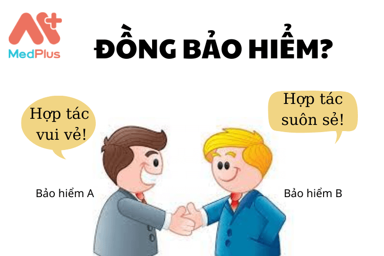 ĐỒNG BẢO HIỂM LÀ GÌ?