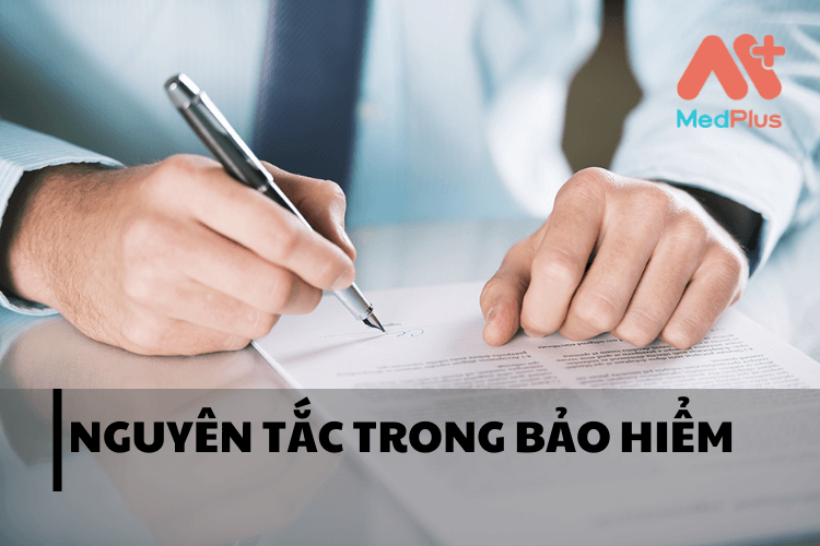 NGUYÊN TẮC TRONG BẢO HIỂM