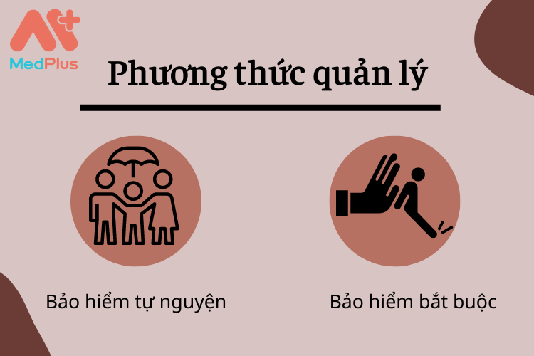 Phan-loai-bao-hiem-theo-phuong-thuc-quan-ly.png