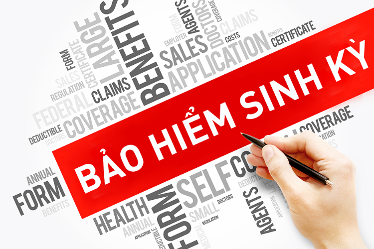 Bảo hiểm sinh kỳ là gì?