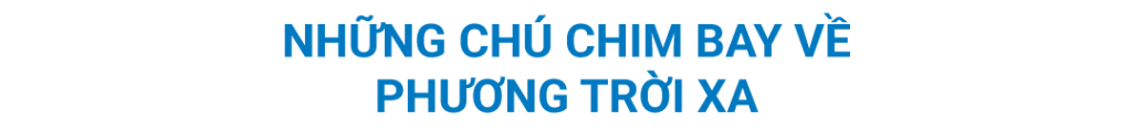 những chú chim bay về phương trời xa