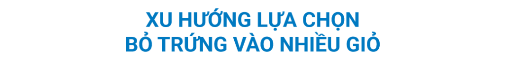 xu hướng bỏ nhiều trứng vào 1 giỏ