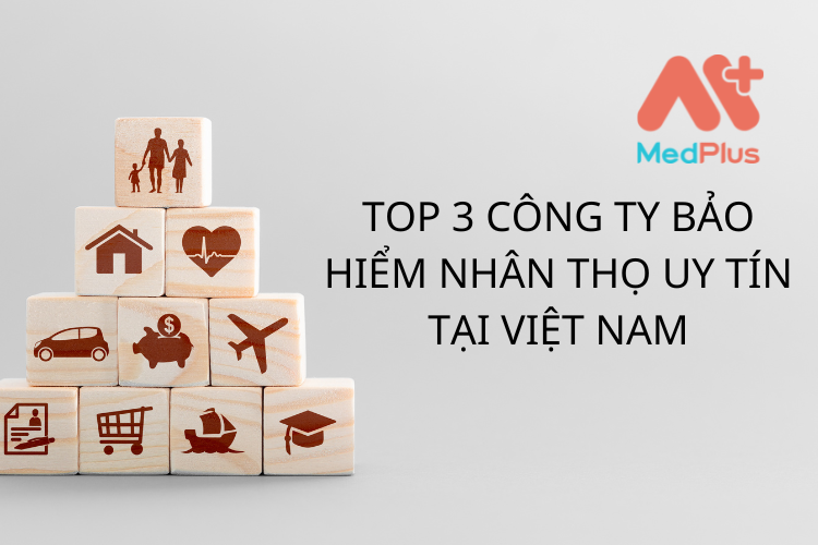 TOP 3 CÔNG TY BẢO HIỂM NHÂN THỌ UY TÍN TẠI VIỆT NAM